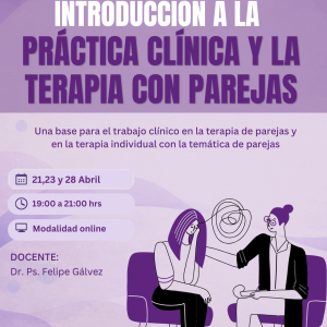 Introducción a la clínica y la terapia con parejas